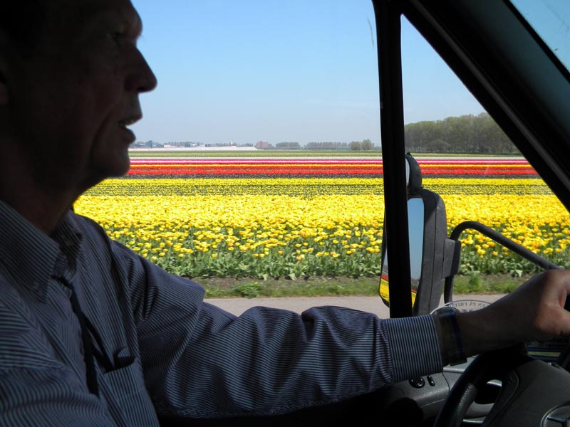 På väg mot Keukenhof