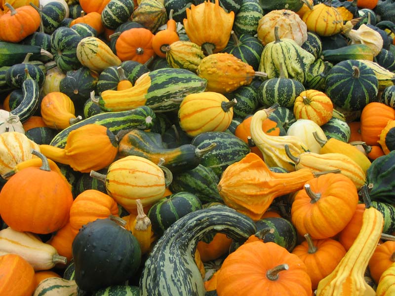 Pumpor och åter pumpor