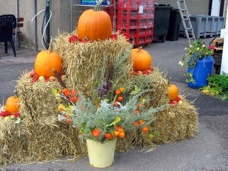 Pumpor på halmbalar