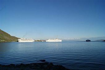 Ferm-7-Honningsvag-640