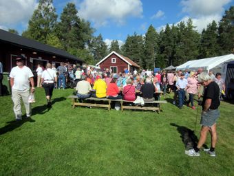 LA-Lyskvall-024-900