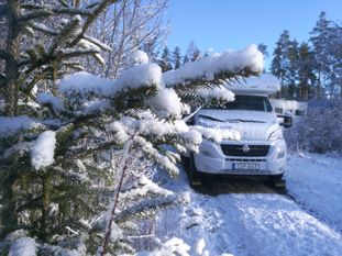 Delad 6:e plats: Aprillasnö är fåragö