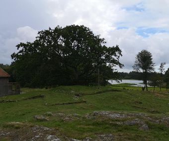 Kyrkoruinen