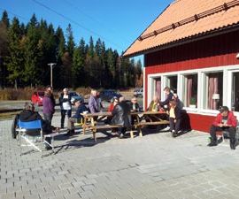 Samling och kaffe i solgasset