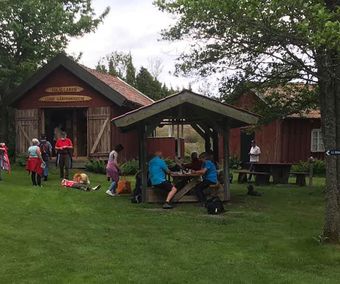 Vilopaus i grönskan