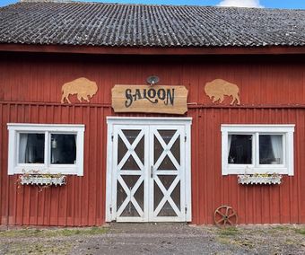 Saloonen