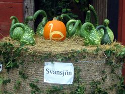 Svansjön