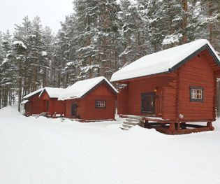 Små söta stugor att hyra på campingen.