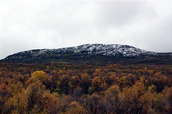 Fjällnäs