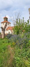 Ventlinge