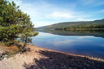 Åsen dammen
