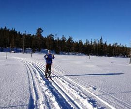 Kort-Vasans yngste startande i Nordics Kort-Vasa