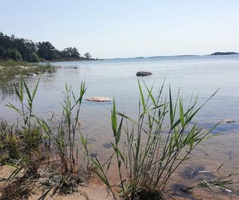 Lurö, promenader på olika slingor