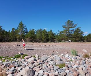 Norrfällsviken