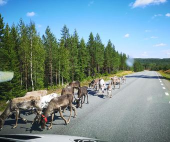 Varning för andra fordon!