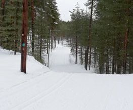 Välpreparerade spår slingrar sig genom skogen