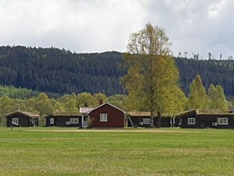 Vårgrönska