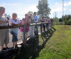 Åskådare  Go-Cart