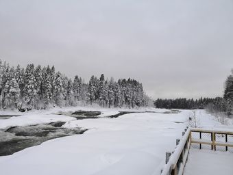 Storforsen by day.