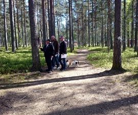 Tipspromenad.