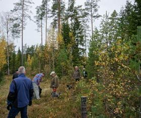 Samling inför dagens skogspromenad, "milgänget"