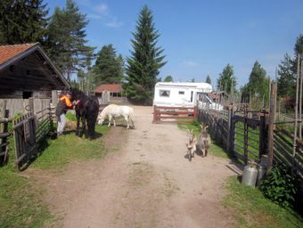 LA-Tovasen-016-900