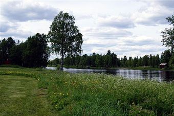 KF-6-juni-2013-02368-640