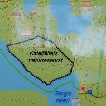 Kittelfaltet02-400