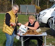 Efter nöje, kommer nytta, det blir en del att rensa