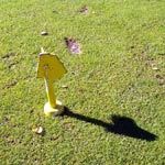 ARNE-GOLF-2012-4186-200