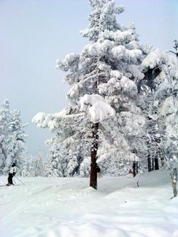 Nysnö och fantastiskt bra underlag, 