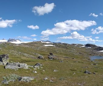 Kalfjäll, Jotunheimen