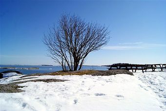KF-Pask-2013-02134-640