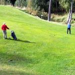 ARNE-GOLF-2012-4197-200