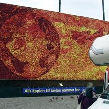 ALDE-ARNE-4317-300