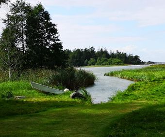 Ops, jag glömde bromsa!