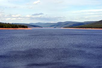 Trängslet dammen.