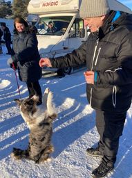 Våfflan fick också vara med och äta korv