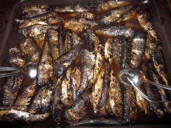 Sotare = Bränd fisk