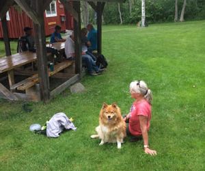 Vilopaus i grönskan
