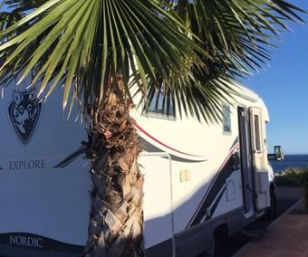 Palmblad, San Juan De Los Terreros