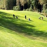 ARNE-GOLF-2012-4190-200