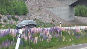 ARA-KOLSTA-0605_154635-300