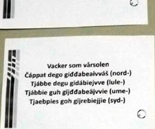 Liten språklektion