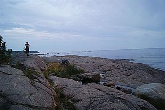 Galtströmmen