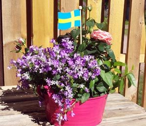 ARA-KOLSTA-0609_163417-300